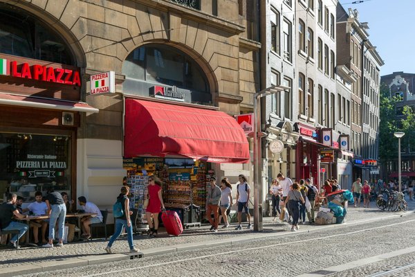 Comment débuter une carrière passionnante de consultant en conservation de la biodiversité marine ?